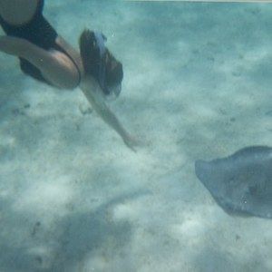 Meet your Posher, Christine